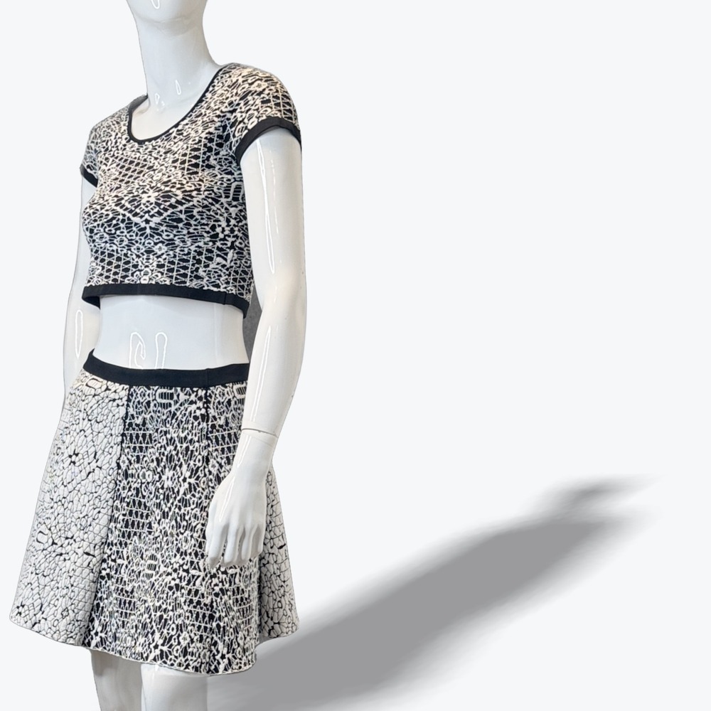 Nina Crop Top & Skirt Set in Jacquard Knit by Designer Parker Skater Mod Small - Picture 2 of 12